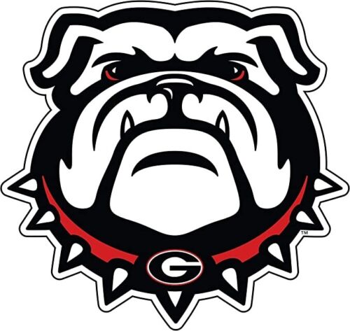 University of Georgia New Logo Bulldog Head 12" Magnet
