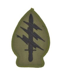 Special Forces (Subdued) Patch