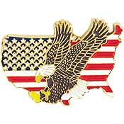 USA Eagle Pin
