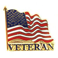 USA Flag Veteran Wavy Pin